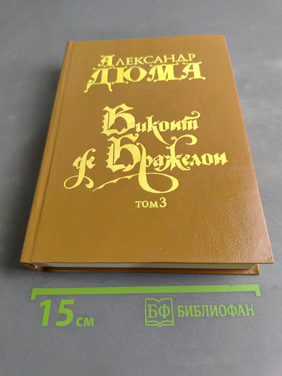 Виконт де Бражелон, или Десять лет спустя. Том 3