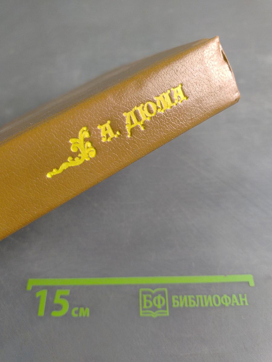 Виконт де Бражелон, или Десять лет спустя. Том 3