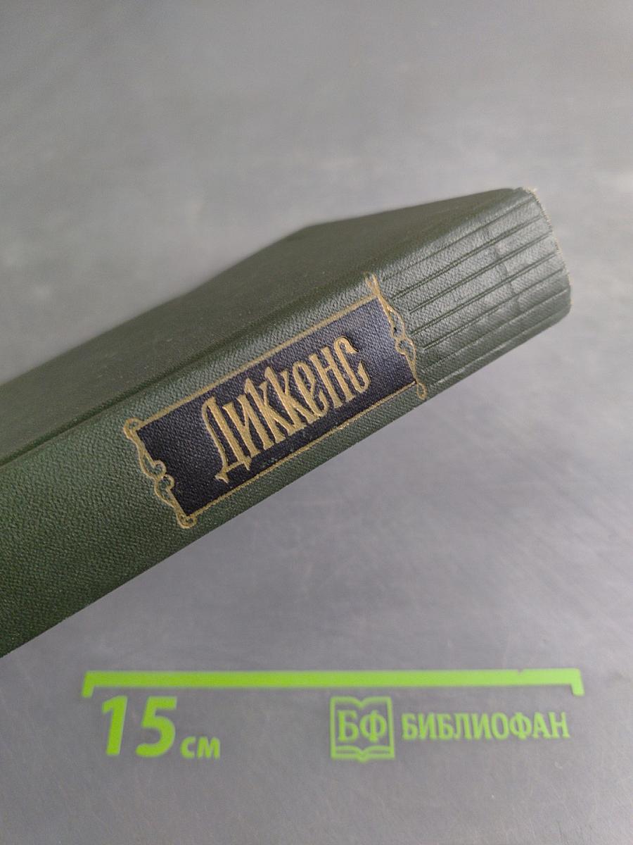 Собрание сочинений. Том семнадцатый. Холодный дом