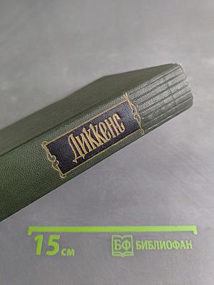 Собрание сочинений. Том семнадцатый. Холодный дом