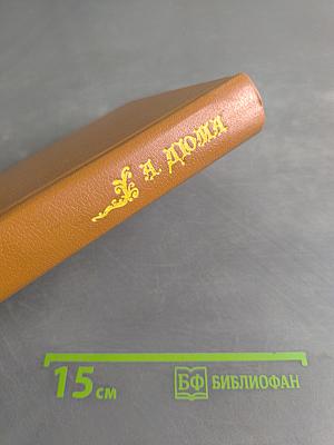 Граф Монте-Кристо. Том 1