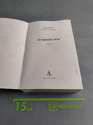 За правое дело