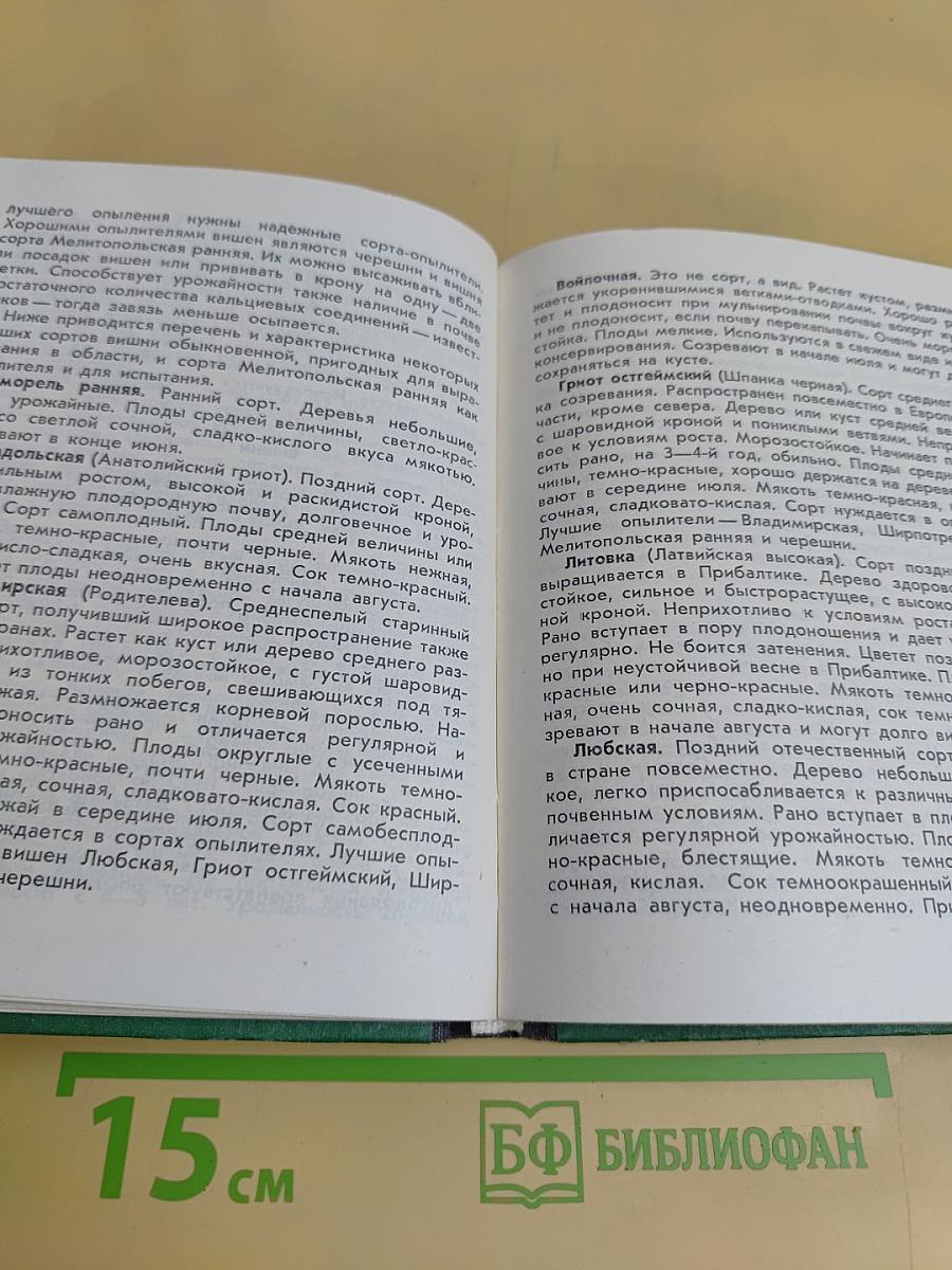 Плодовый сад
