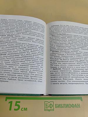 Плодовый сад
