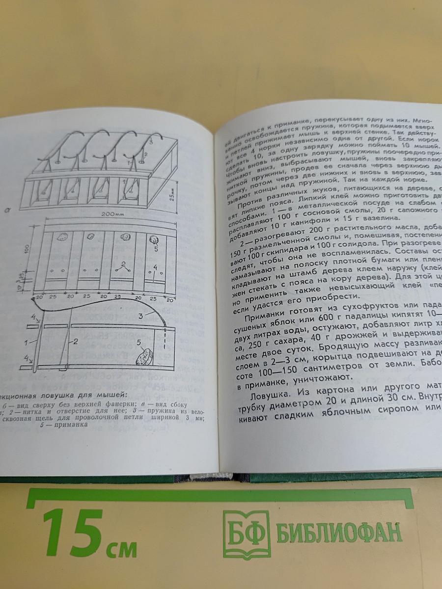 Плодовый сад