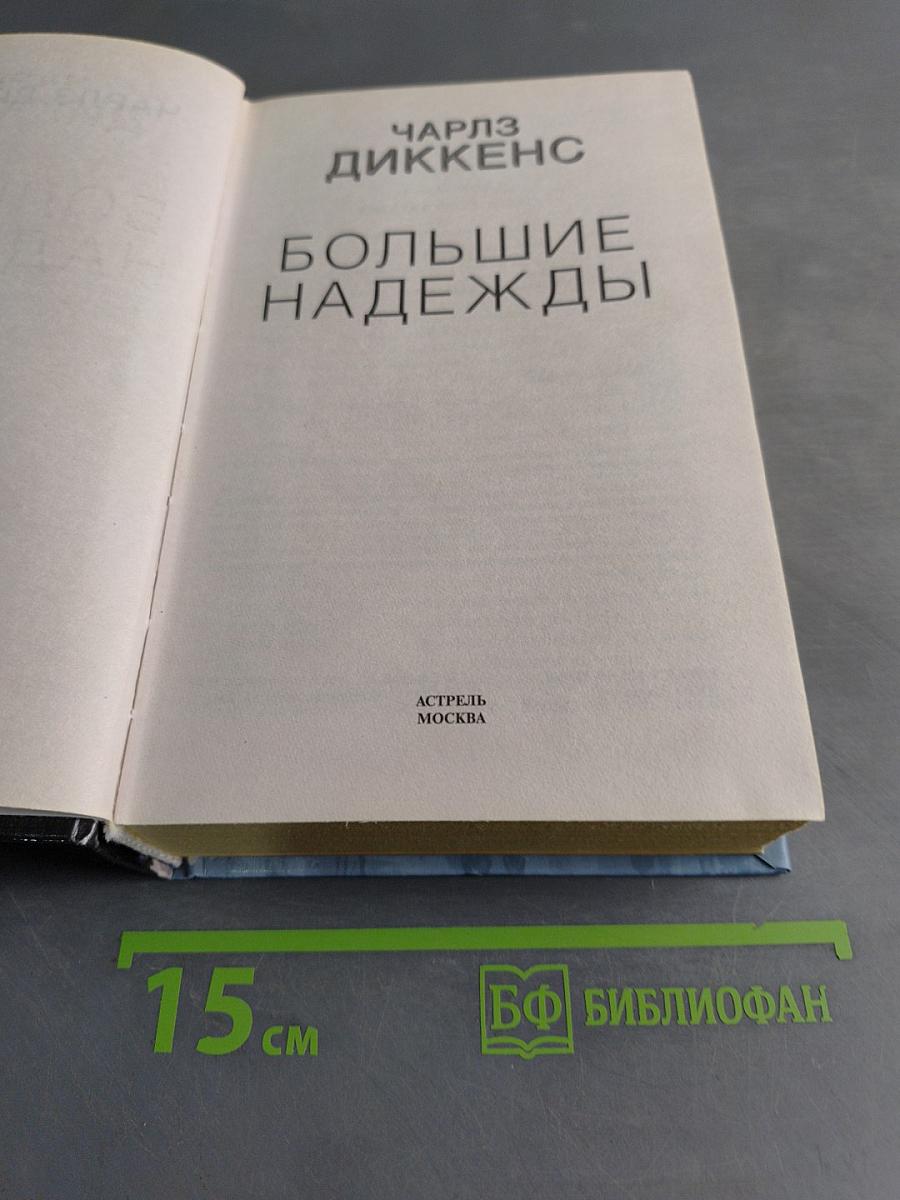 Большие надежды