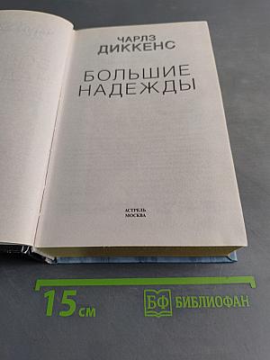 Большие надежды