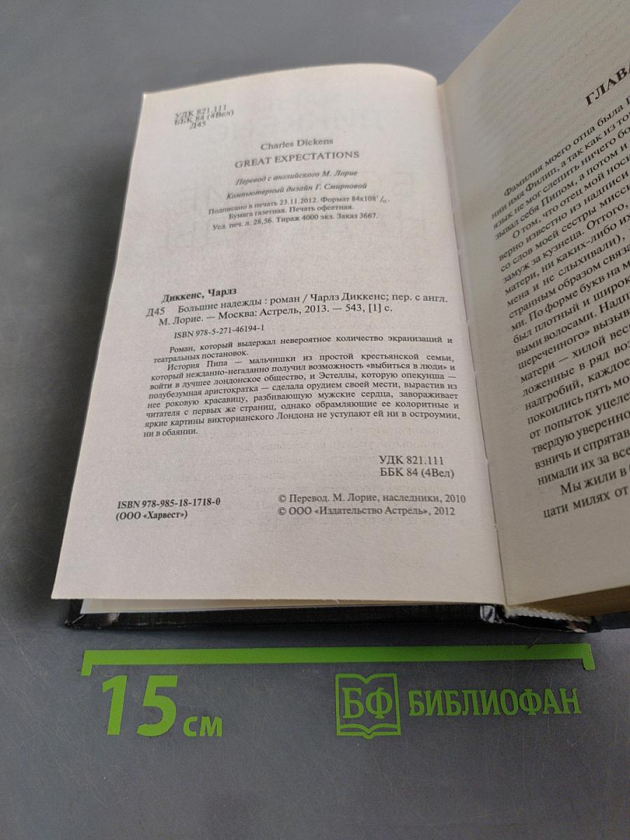 Большие надежды