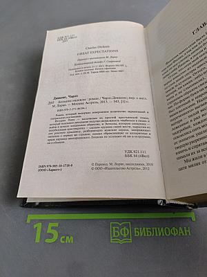 Большие надежды
