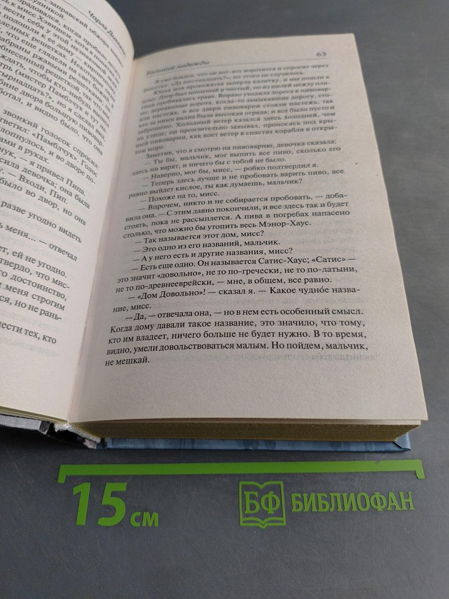 Большие надежды
