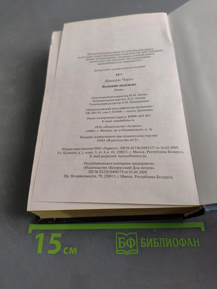 Большие надежды