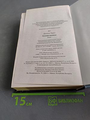 Большие надежды