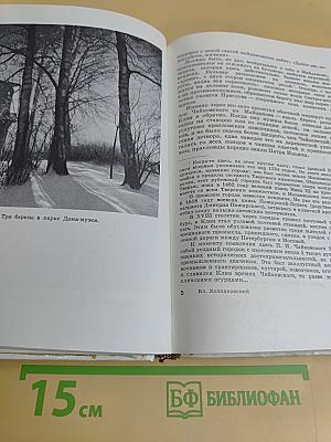Дом в Клину