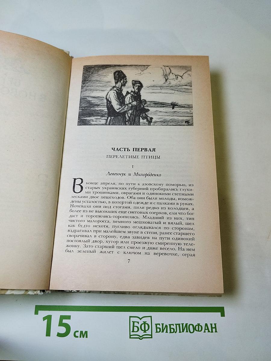 Беглые в Новороссии. Воля. Княжна Тараканова.