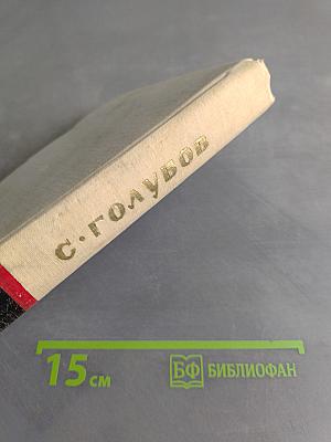 Когда крепости не сдаются. Книга II