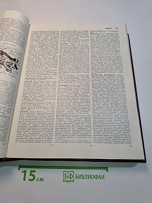 Большая Советская Энциклопедия