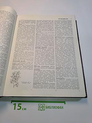Большая Советская Энциклопедия. Том 21