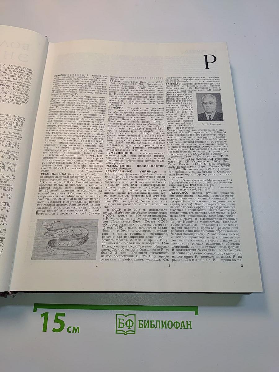 Большая Советская Энциклопедия. Том 22. Ремень — Сафи