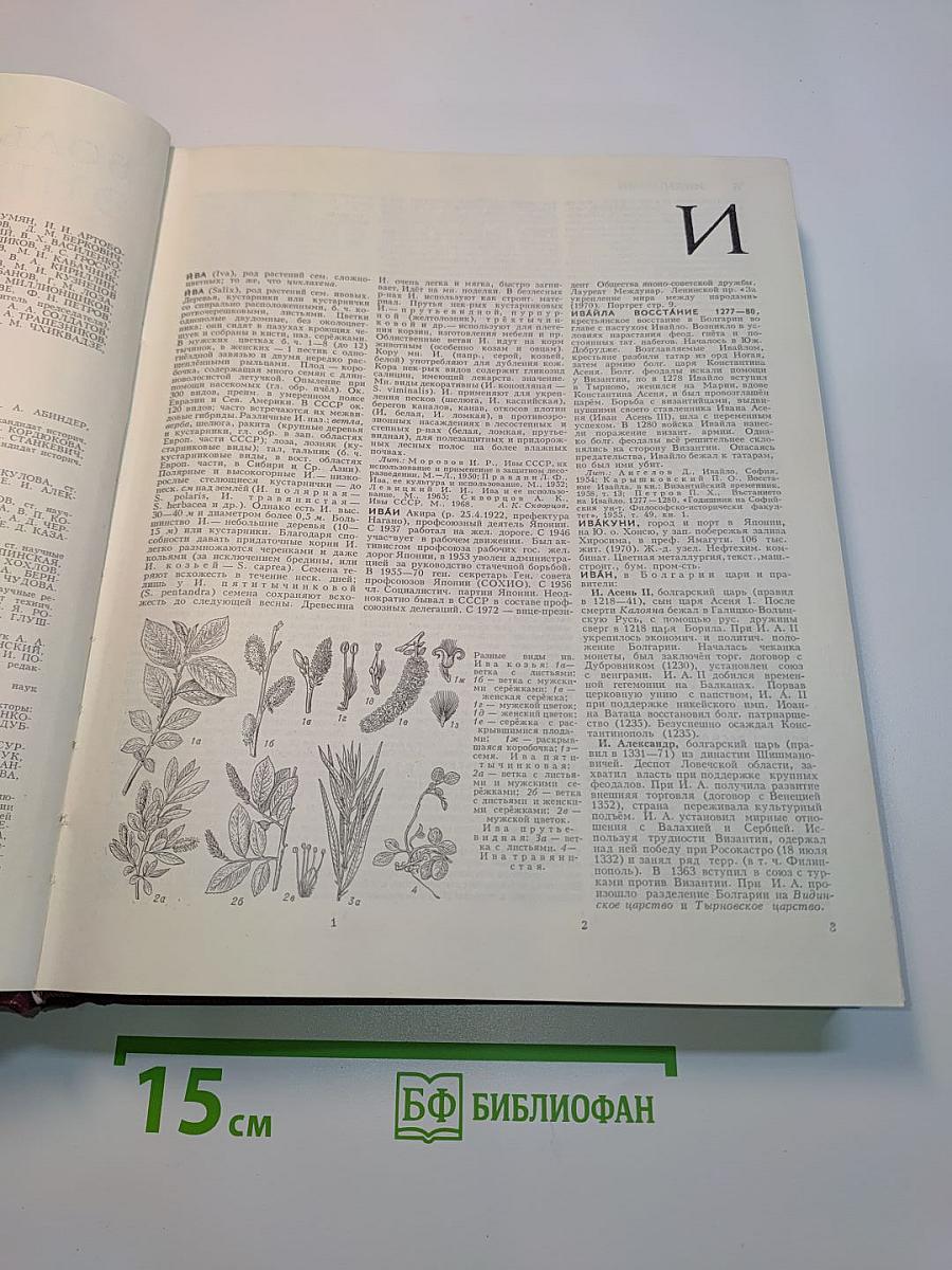 Большая Советская Энциклопедия. Том 10. Ива - Италийки