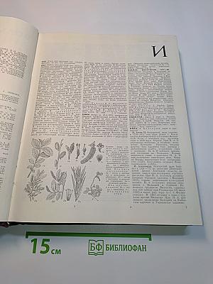 Большая Советская Энциклопедия. Том 10. Ива - Италийки