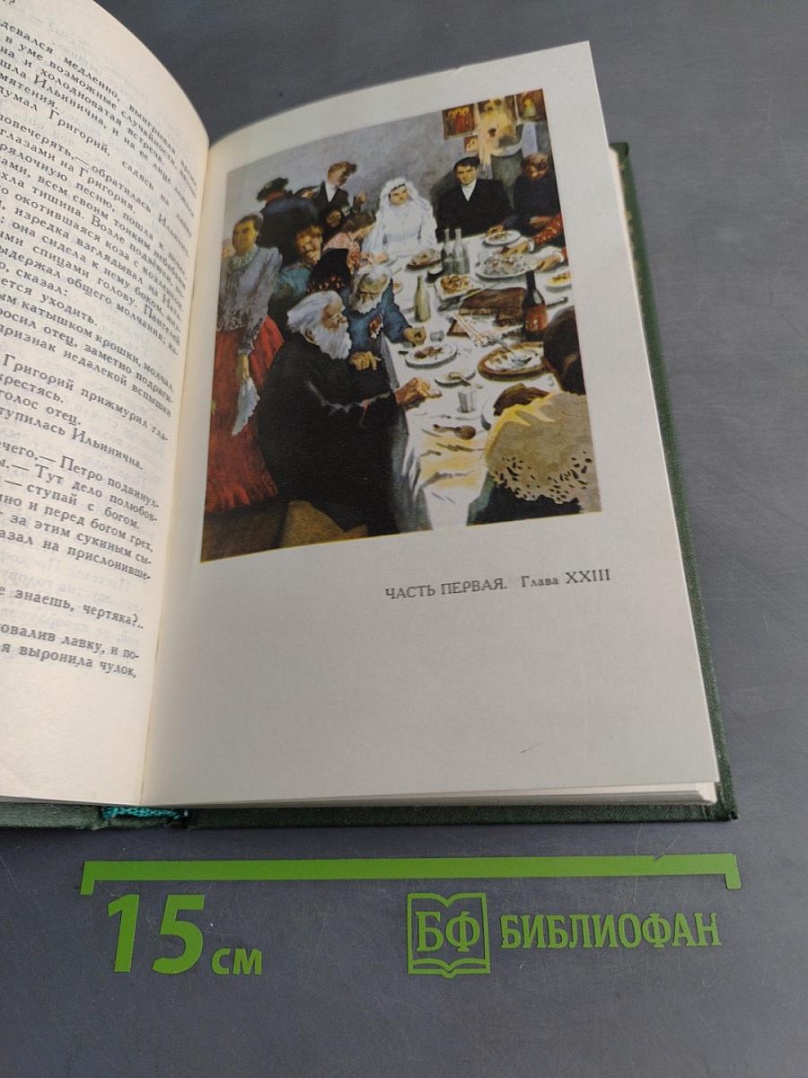 Тихий Дон. Книга первая