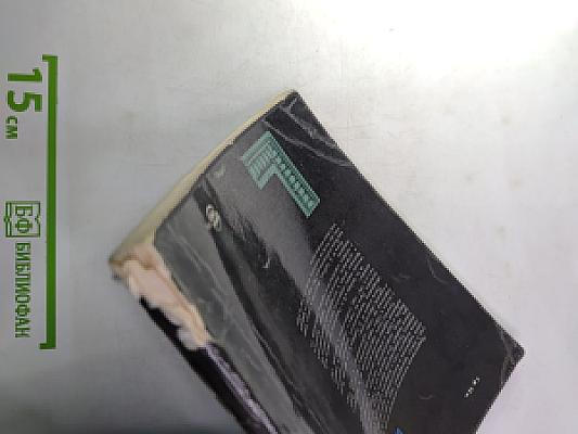 Искусство в плену