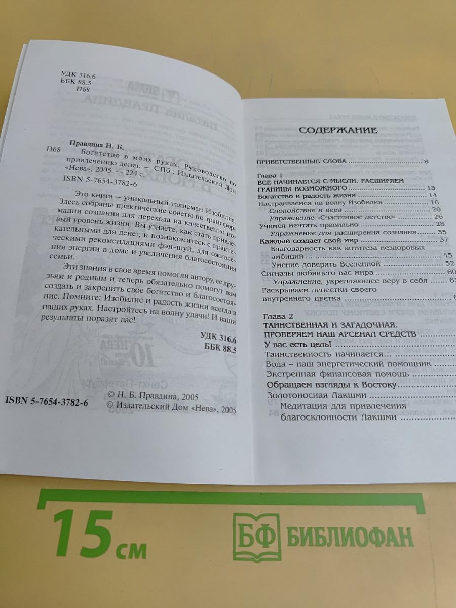 Богатство в моих руках. Руководство по привлечению денег
