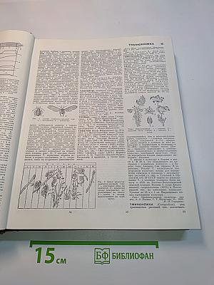 Большая Советская Энциклопедия. Том 26