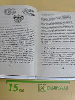 Я познаю мир. Детская энциклопедия. Динозавры