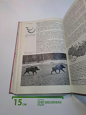 Спортивная охота в СССР. Том 1. Физкультура