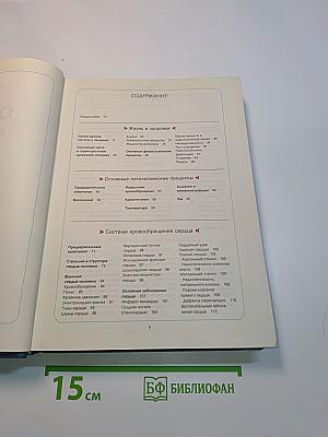 Организм человека
