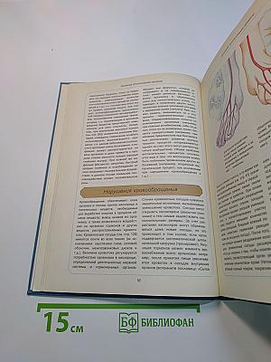 Организм человека