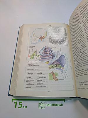 Организм человека