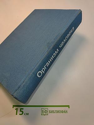 Организм человека