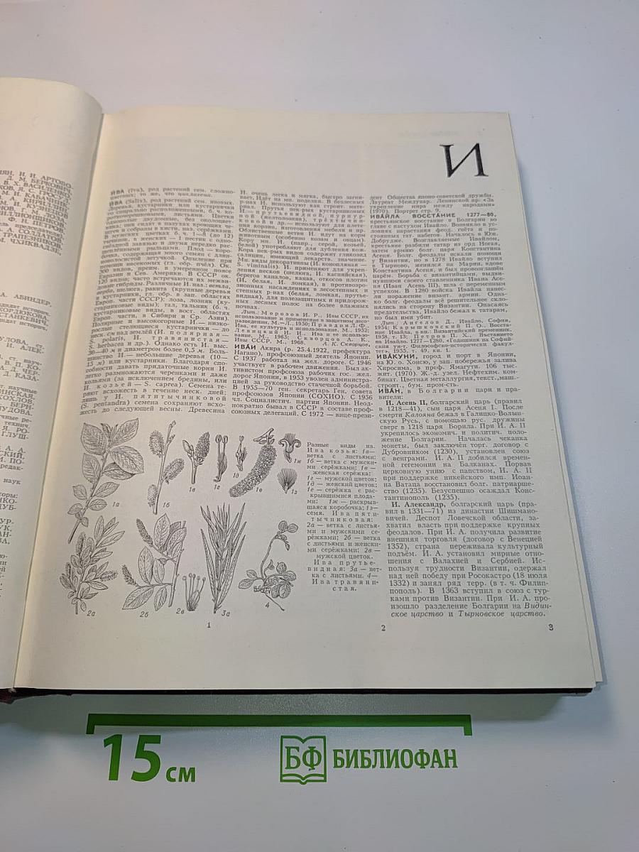 Большая Советская Энциклопедия. Том 10. Ива - Италики