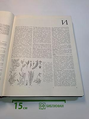 Большая Советская Энциклопедия. Том 10. Ива - Италики