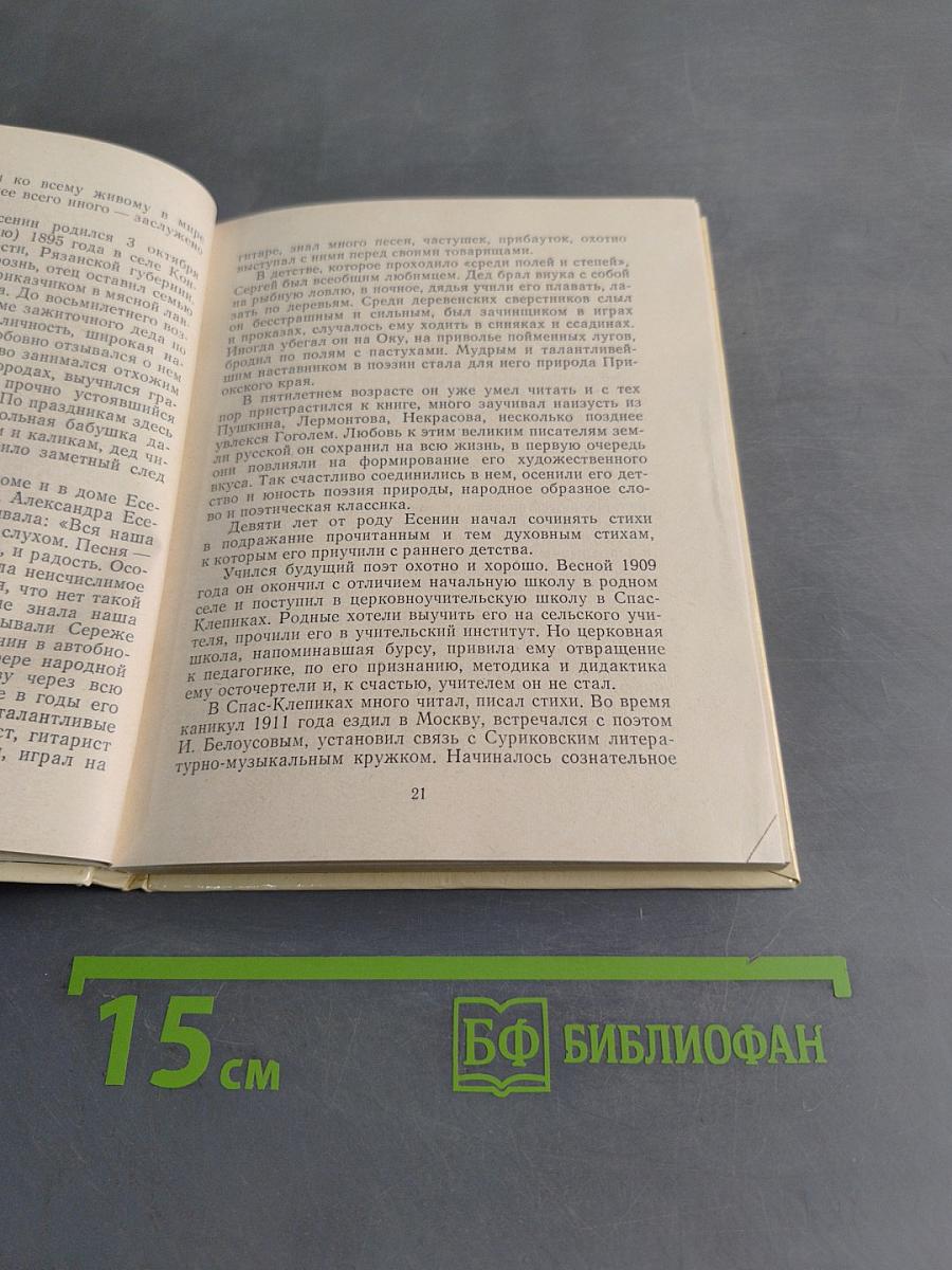 Сергей Есенин: Жизнь и творчество