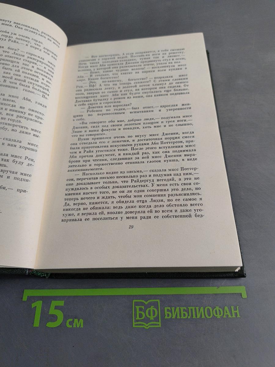 Собрание сочинений. Том двадцать пятый. Наш общий друг