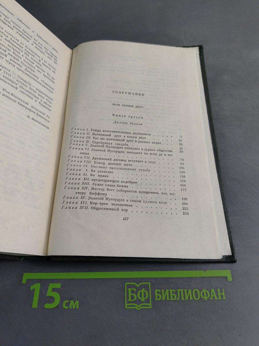 Собрание сочинений. Том двадцать пятый. Наш общий друг