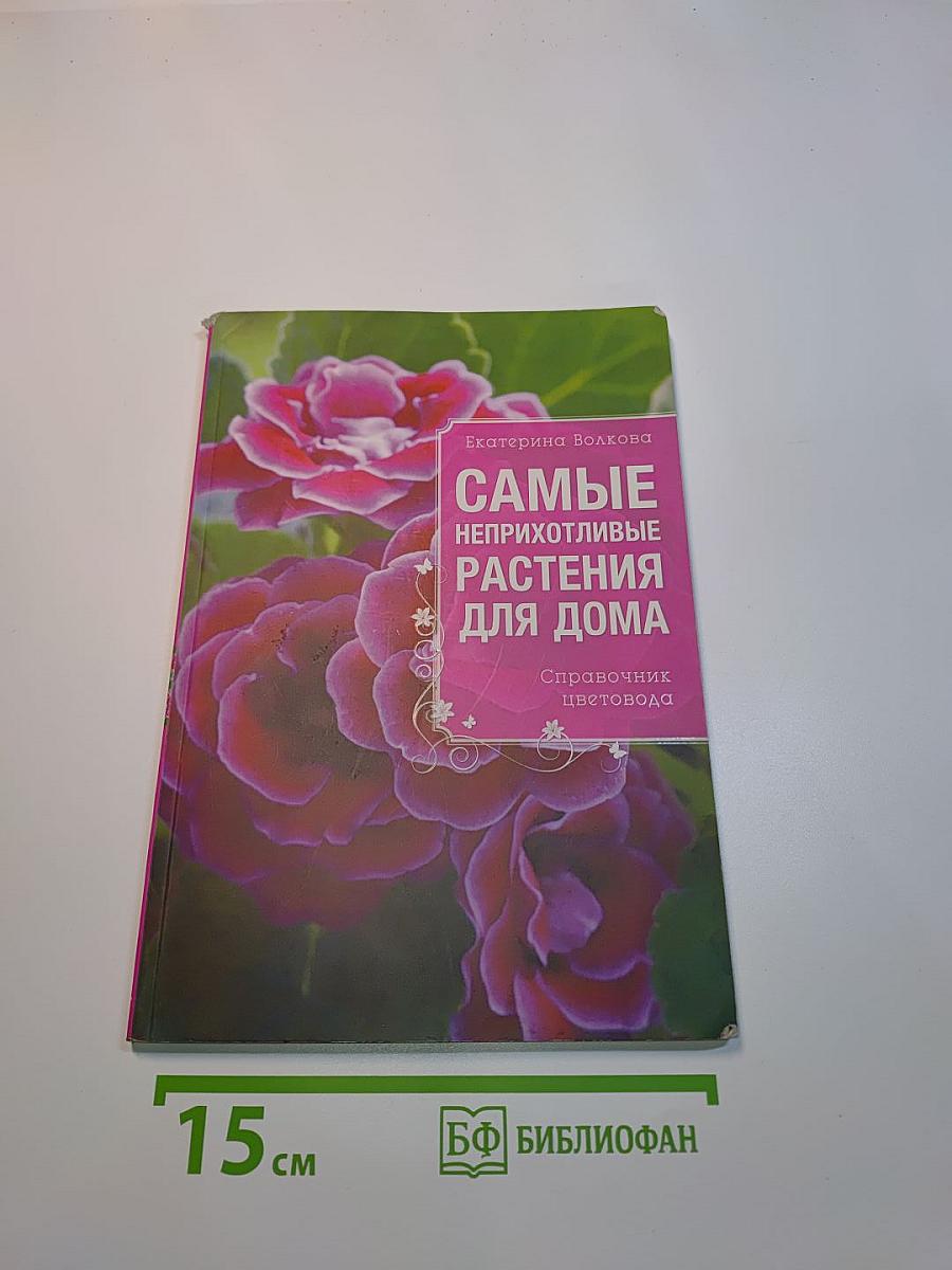 Самые неприхотливые растения для дома