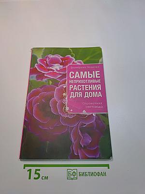 Самые неприхотливые растения для дома