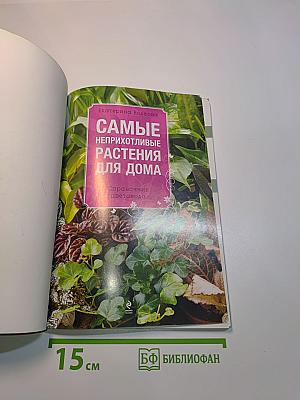 Самые неприхотливые растения для дома