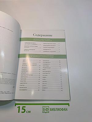 Самые неприхотливые растения для дома