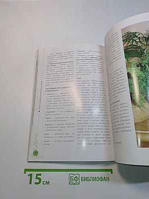 Самые неприхотливые растения для дома