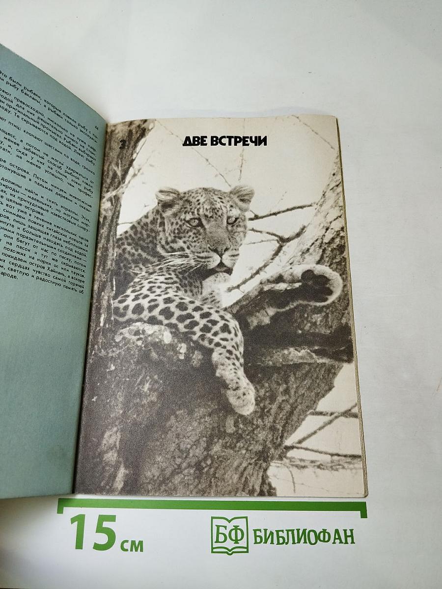 По следам диких животных