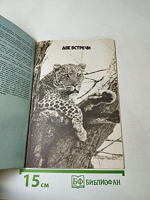 По следам диких животных