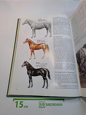 Das große Buch des Pferdes