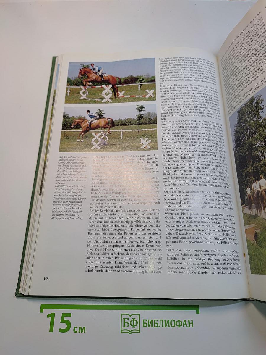 Das große Buch des Pferdes