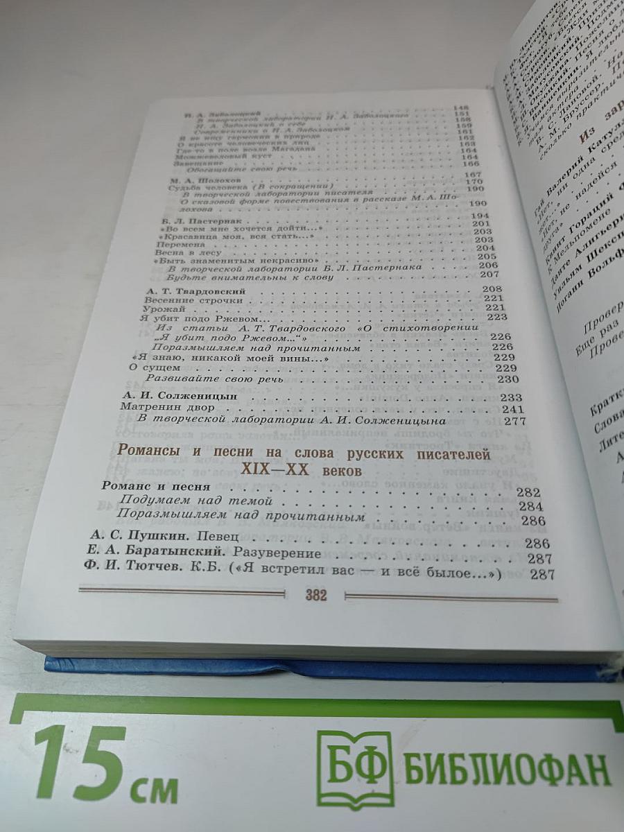 Литература. 9 класс. Часть 2