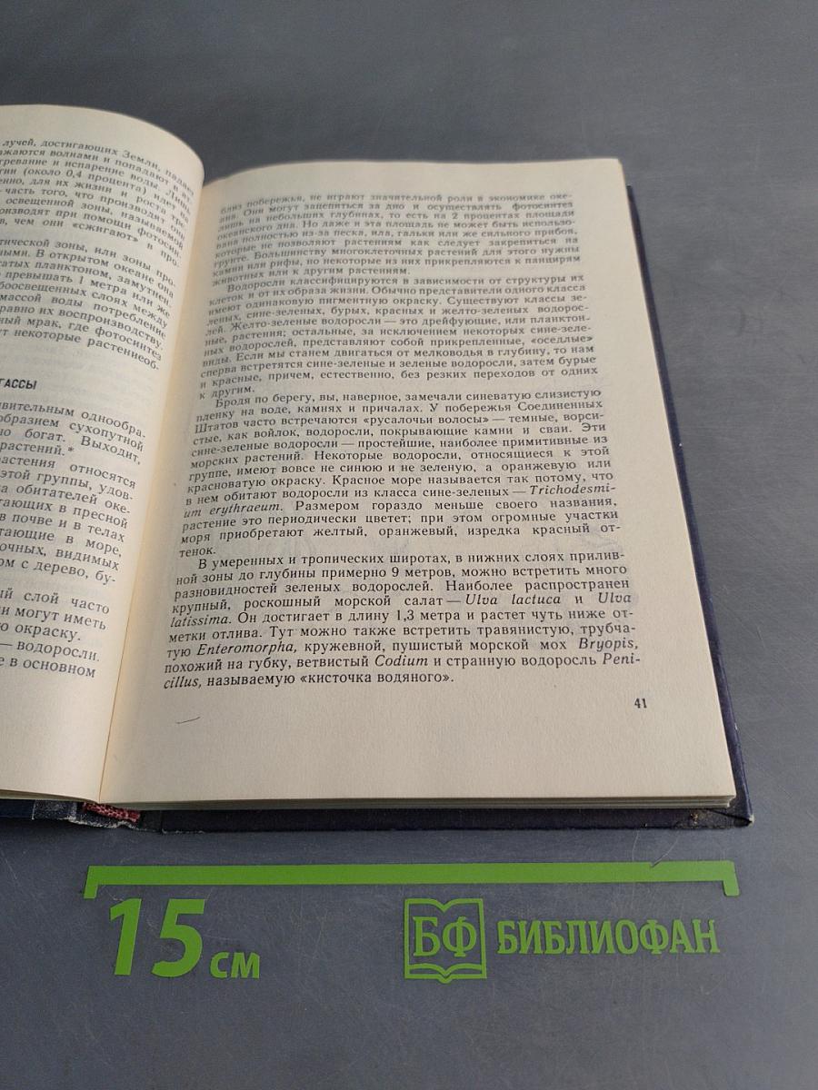 Обитатели бездны
